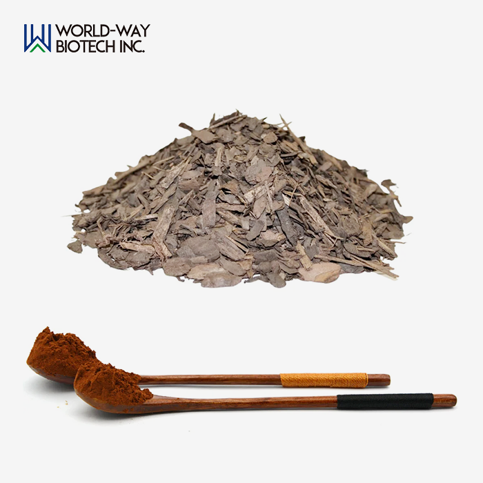 Best Pine Bark Extract Best Pine Bark Extract